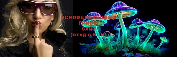 альфа пвп Нефтекумск