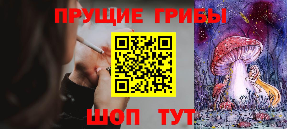 Галлюциногенные грибы Psilocybe  что такое   Электросталь 