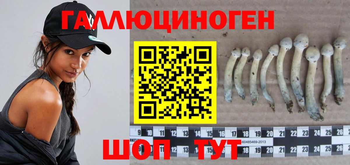 Псилоцибиновые грибы Psilocybe  где купить наркоту  Электросталь  Вход с VPN  Галлюциногенные грибы мухоморы 