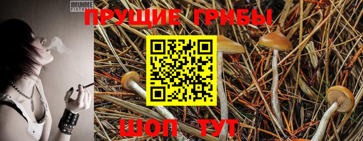 Псилоцибиновые грибы MAGIC MUSHROOMS Электросталь